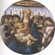 Madonna and Child with eight Angels or Raczinskj Tondo (mk36) Sandro Botticelli